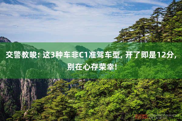 交警教唆: 這3種車非C1準(zhǔn)駕車型, 開了即是12分, 別在心存榮幸!