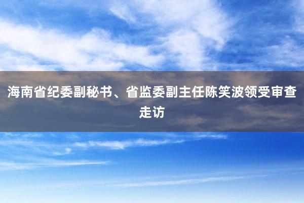 海南省紀(jì)委副秘書、省監(jiān)委副主任陳笑波領(lǐng)受審查走訪