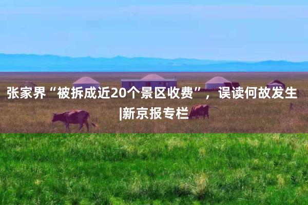 張家界“被拆成近20個(gè)景區(qū)收費(fèi)”，誤讀何故發(fā)生 |新京報(bào)專欄